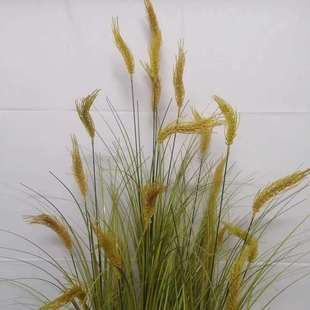 仿真芦苇草草团植物造景隔断仿真草堆软装造景落地橱窗装饰摆件