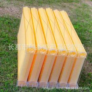出口型蜂具7PCS自流蜜巢础蜂脾自流蜜蜂箱自动取蜜塑料巢础