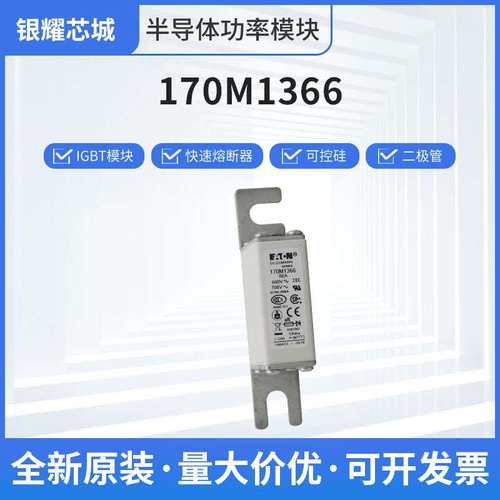 巴斯曼170M1366人防熔断器现货