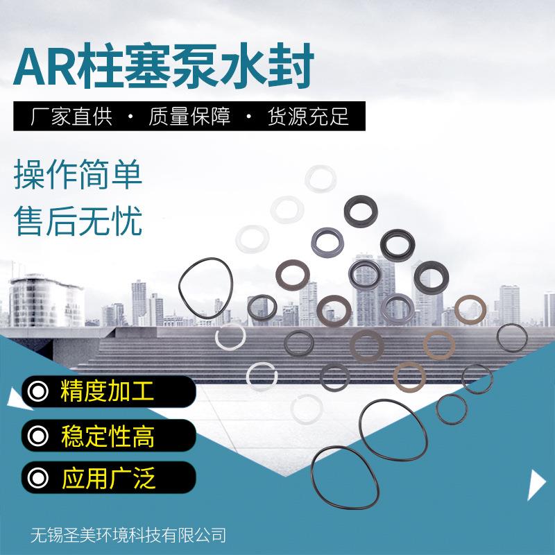 高压柱塞泵意大利AR泵配件RTP水封42159密封圈