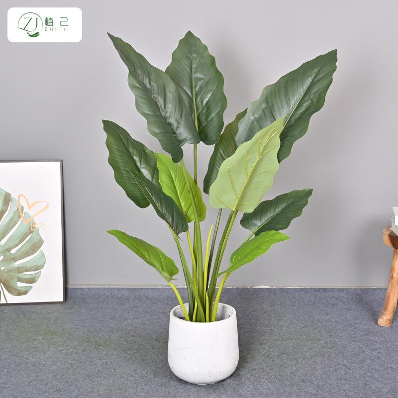 仿真绿帝王假植物室内客厅办公室家居大型盆栽绿植假树绿萝