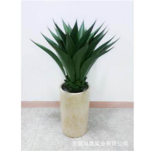 仿真皇冠兰盆栽植物室内外家居装饰高仿真龙舌兰盆栽摆件支持定制