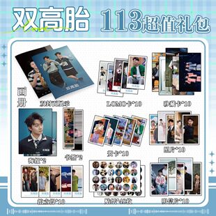 双高胎周边113件套海报贴纸吧唧明信片海报小卡钥匙扣立牌照片