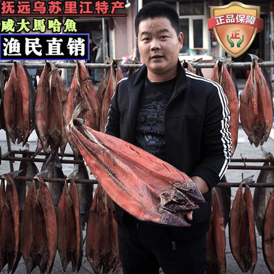 咸大马哈鱼东北黑龙江抚远