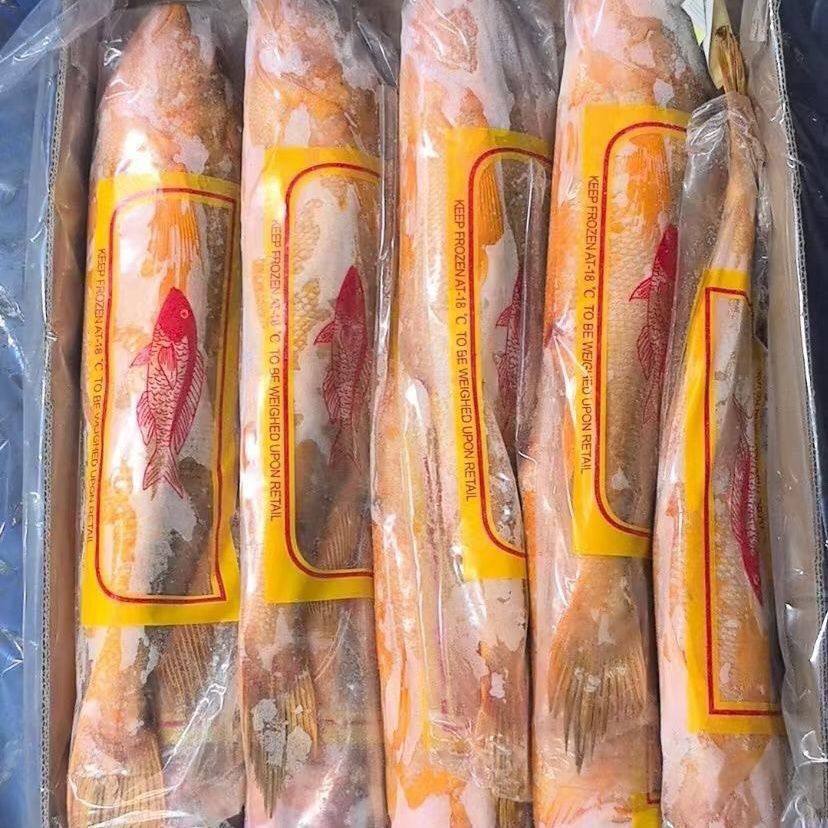 顺丰正宗缅甸非养殖黄鱼黄花鱼大黄鱼新鲜纯野生新鲜真空黄鱼礼盒