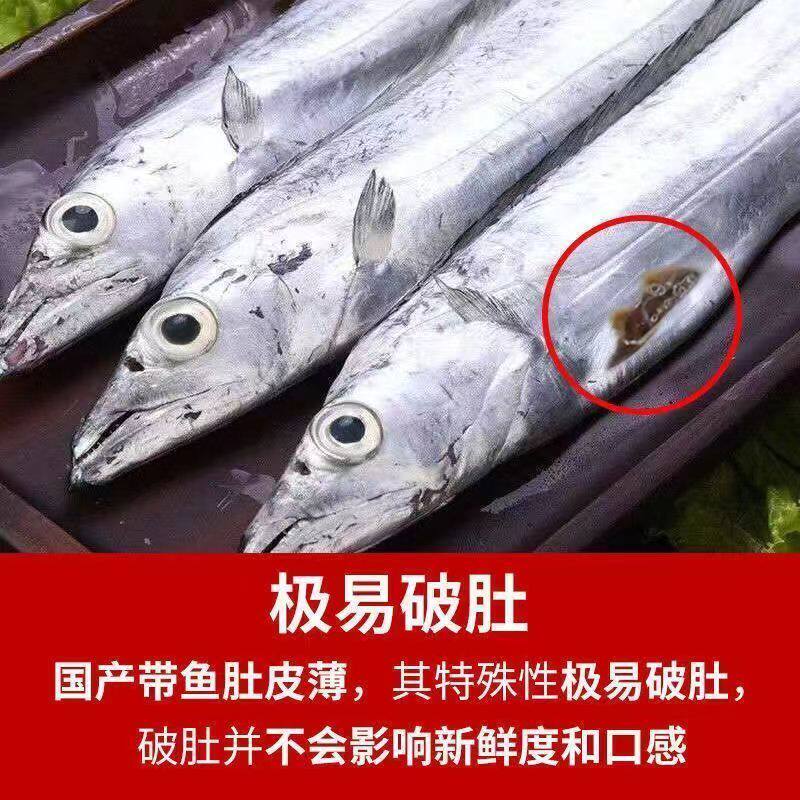 【顺丰包邮】新鲜整条带鱼野生海捕东海小眼带鱼正宗刀鱼无破肚