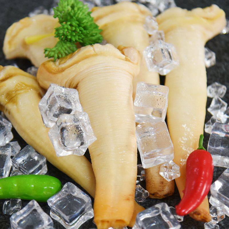 象拔蚌蚌头象鼻蚌鲜活冷冻新鲜即食野生贝类海鲜水产野生礼盒