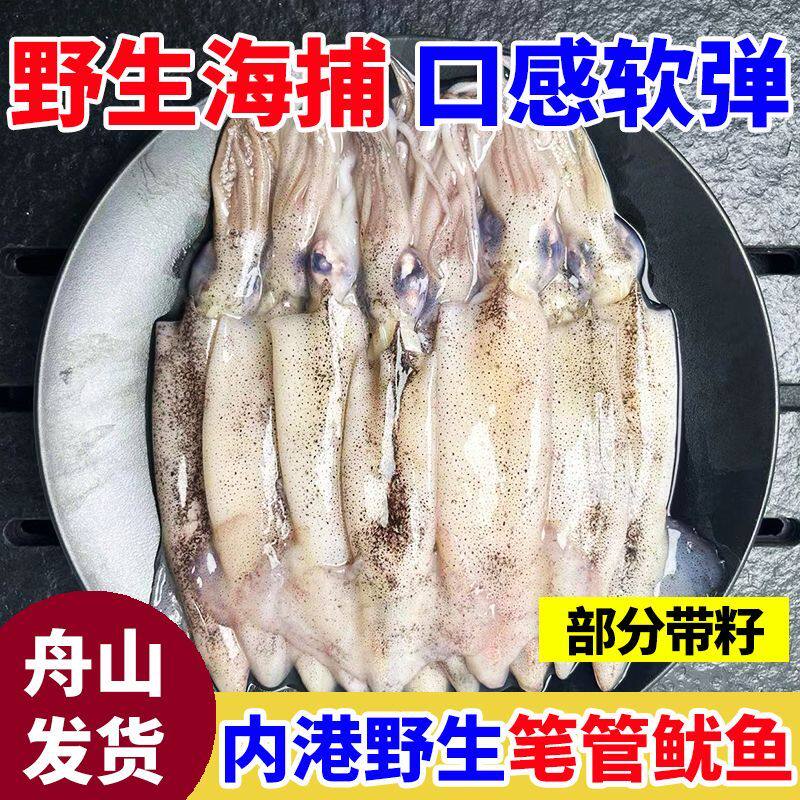 舟山内港鱿鱼新鲜冷冻野生海捕小海兔软皮鱿鱼小管笔管鱼籽乌海鲜