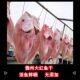 优质儋州大红鱼干深海野生特大整条现晒无添加咸鱼干海南湛江特产
