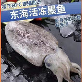 无冰衣日照本地野生比目鱼海捕大墨鱼乌贼无污染国产新鲜深海冷冻