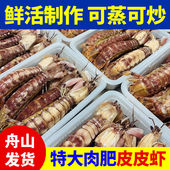 皮皮虾鲜活蒸熟冷冻舟山野生海捕特大富贵虾虾爬子濑尿虾熟冻虾姑