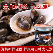 丹东特产黄海泥螺东港本地泥螺泥溜子开盖即食泥螺王海鲜下饭菜