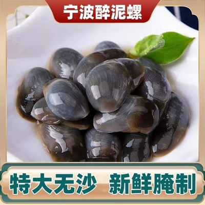 泥螺即食罐装黄泥螺鲜活特大醉泥螺生腌舟山特产宁波海鲜海螺无沙