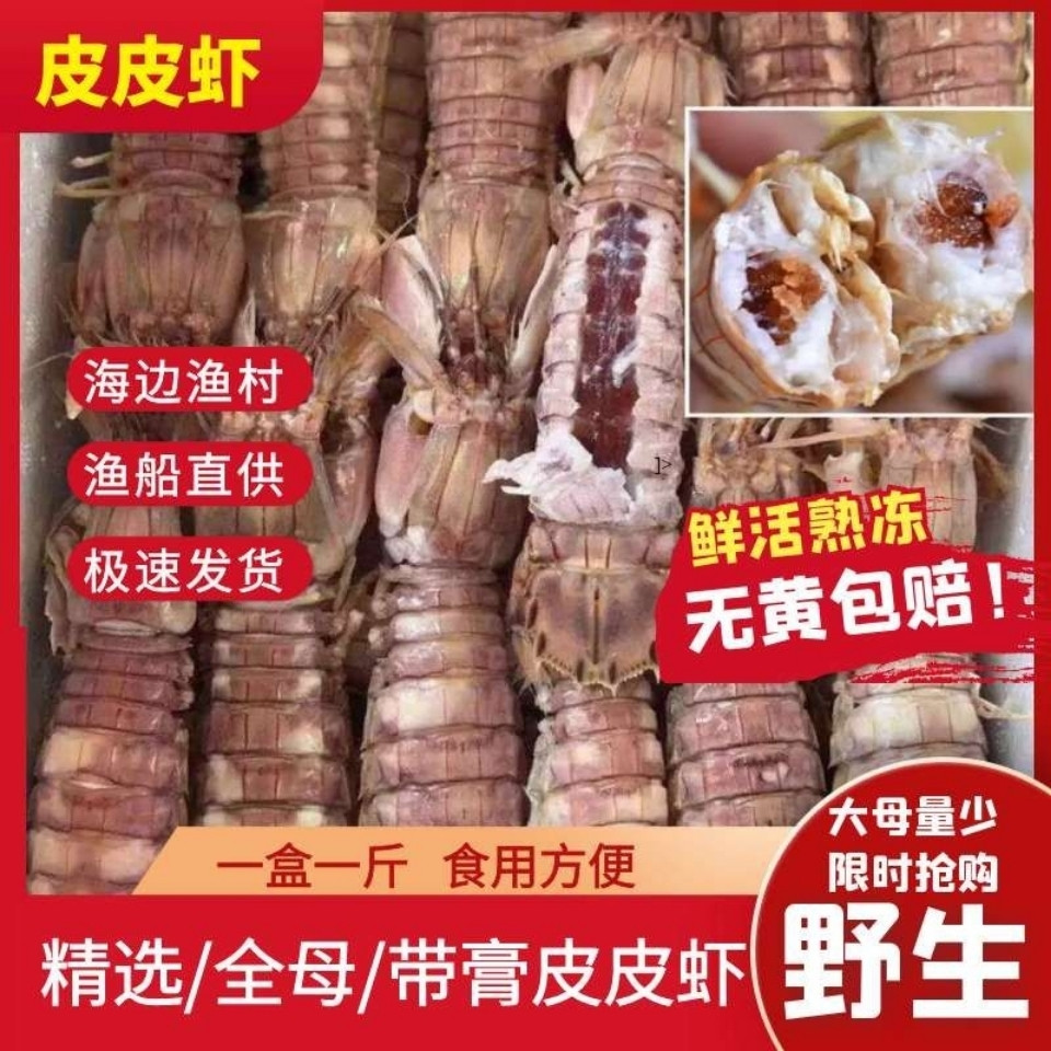 季节肥母满肉皮皮虾带膏熟冻虾爬子濑尿虾皮皮虾虾爬子虾婆虾姑