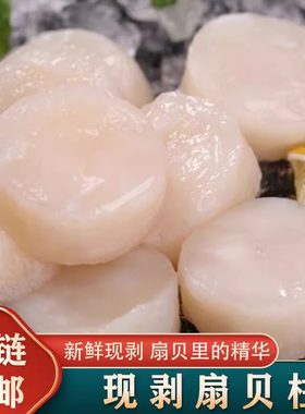 新鲜扇贝柱顺丰包邮冷冻元贝柱