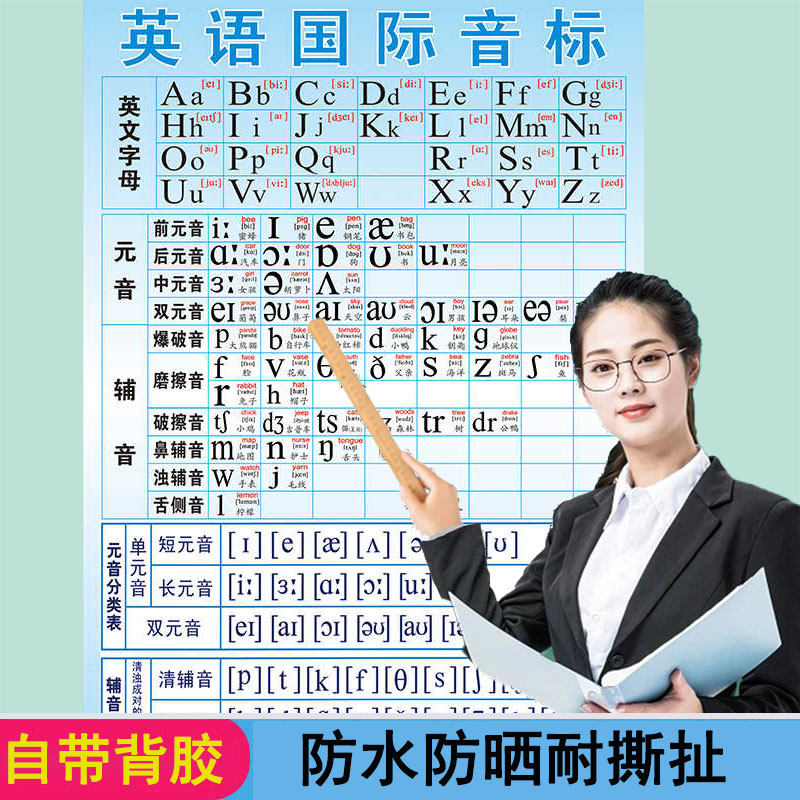 英语和自然拼读48个国际音标挂图