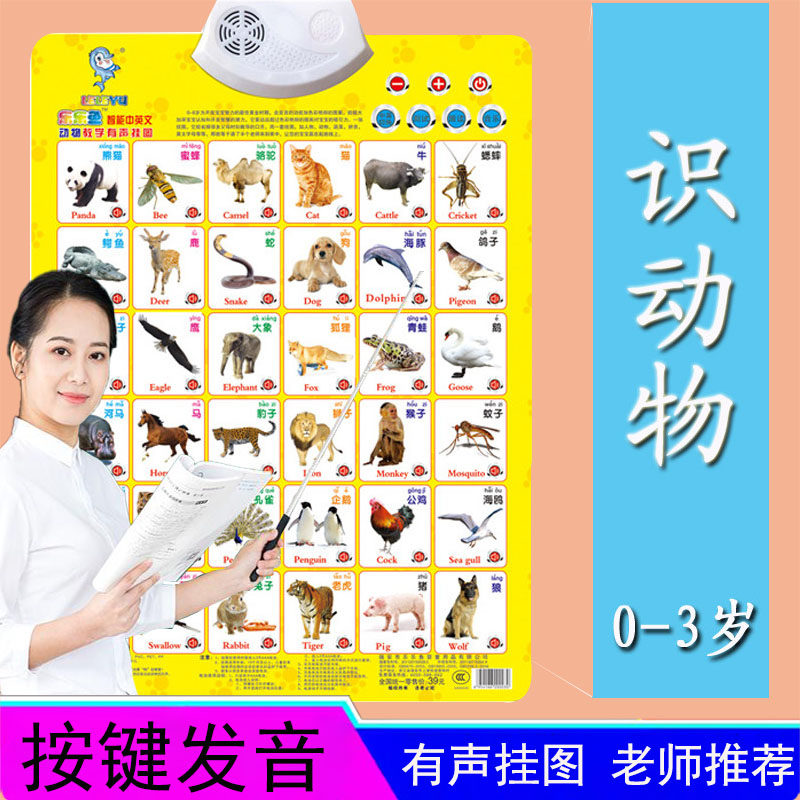 儿童早教启蒙有声挂图认知卡