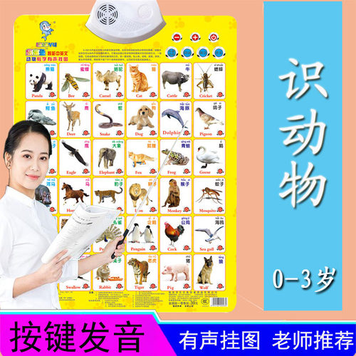 儿童早教启蒙有声挂图认知卡