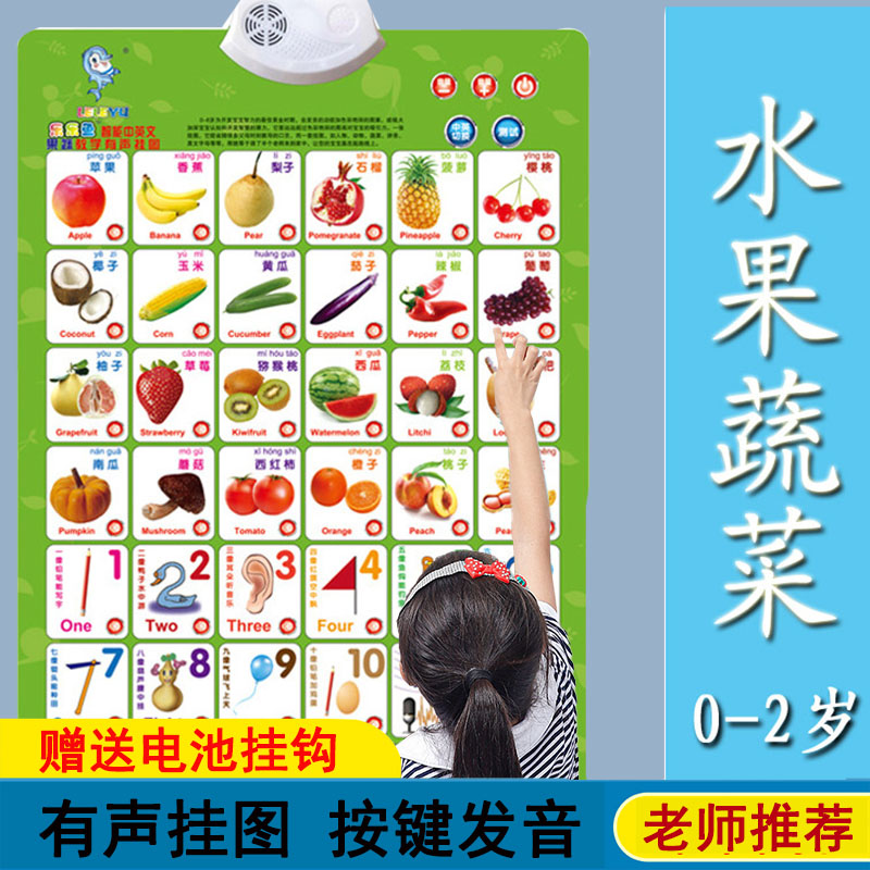 有声挂图点读发声儿童宝