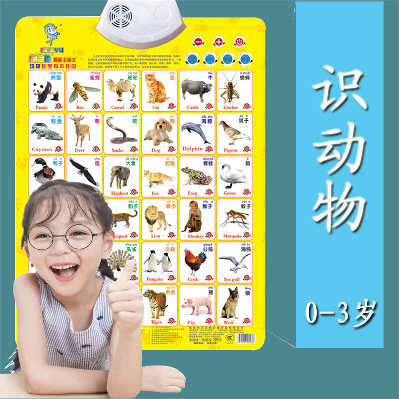 小孩子墙挂画有声挂图幼小衔接