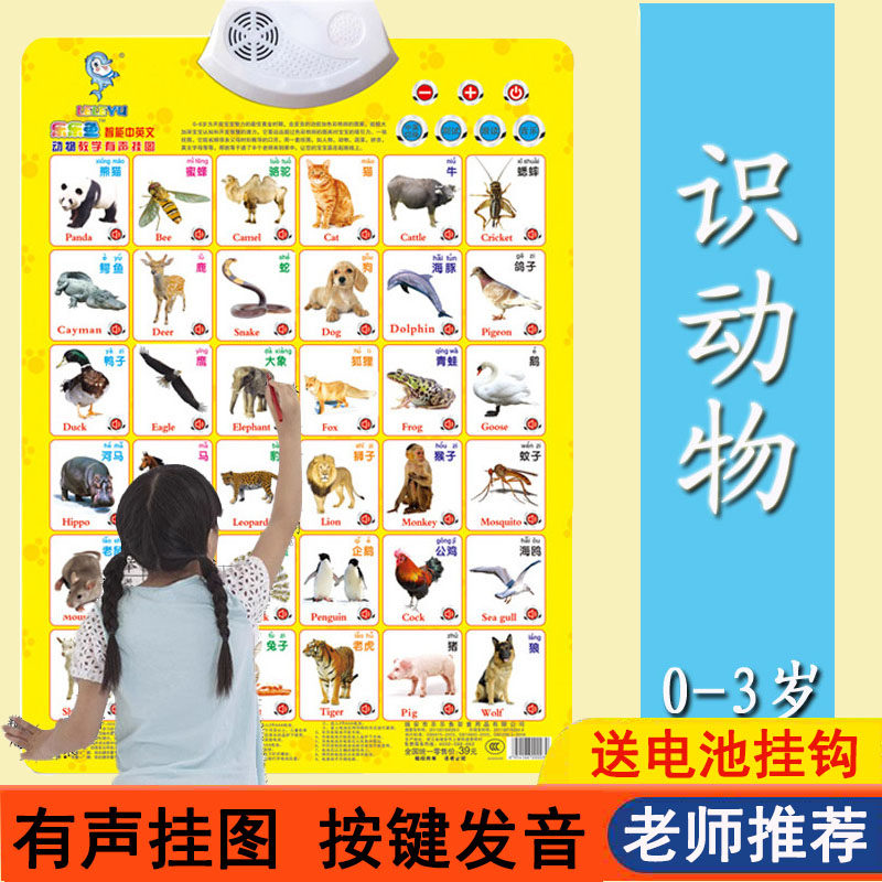 宝宝有声挂图儿童早教认知卡