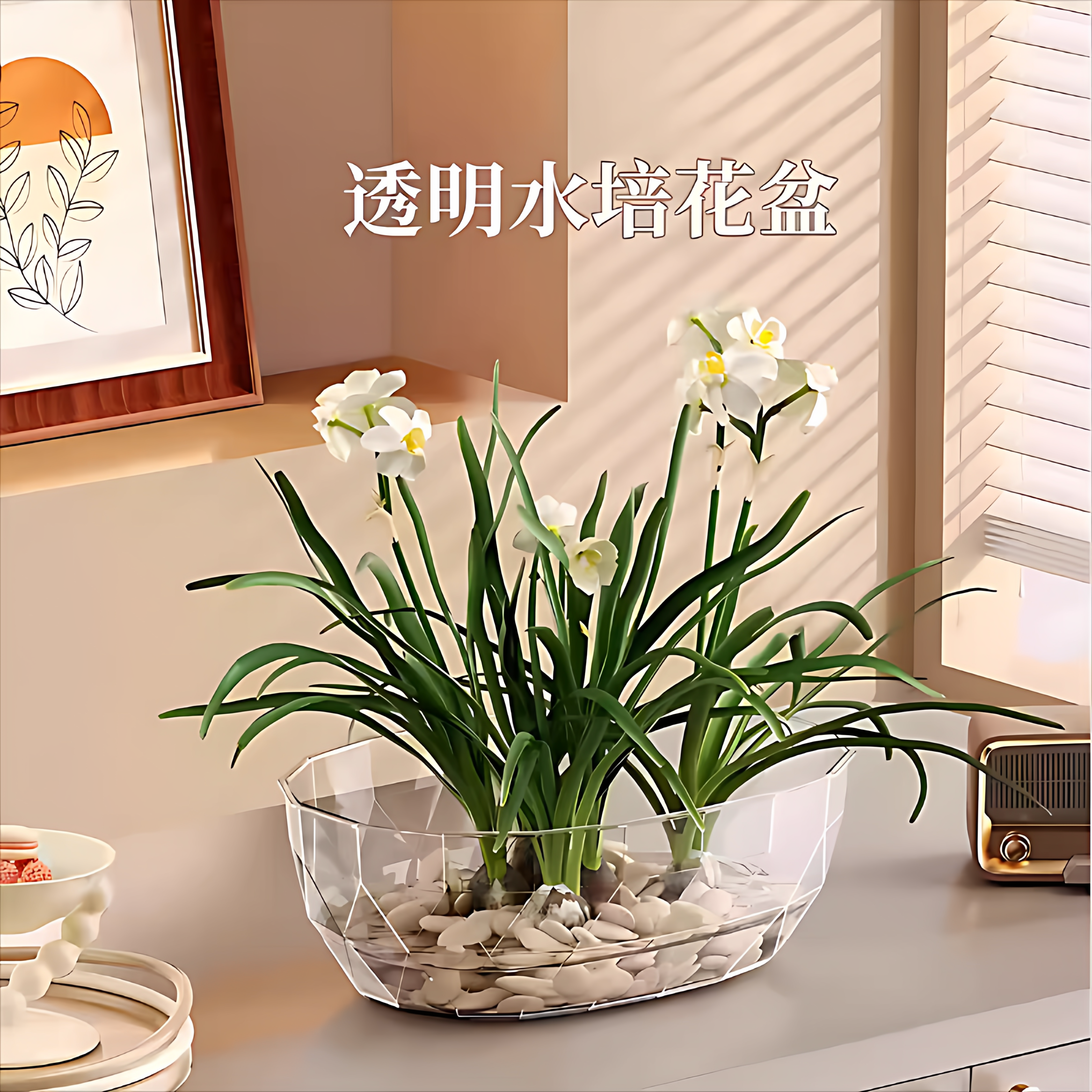水培植物花盆亚克力桌面办公室水仙花铜钱草睡莲耐摔花瓶高透PET