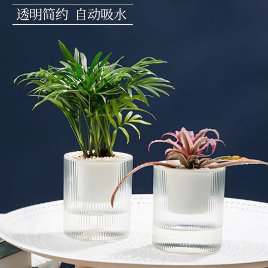 自动吸水免可储水小花盆透明水培
