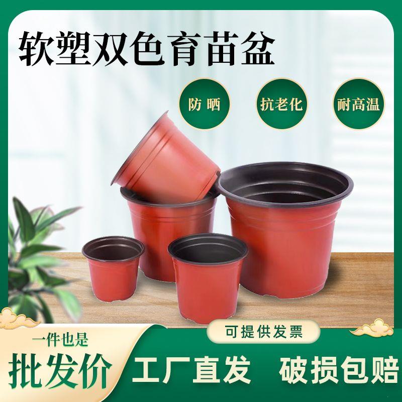加厚双色育苗简易一次性