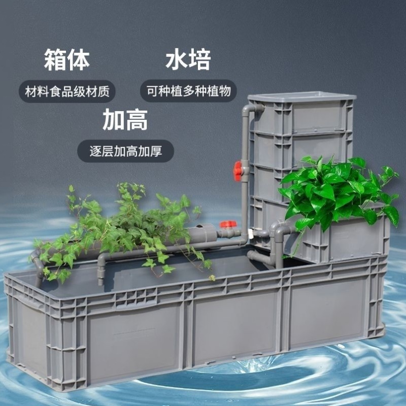 养龟箱沼泽缸生态缸大型过滤器家用鱼缸乌龟缸混合养周转箱免换水