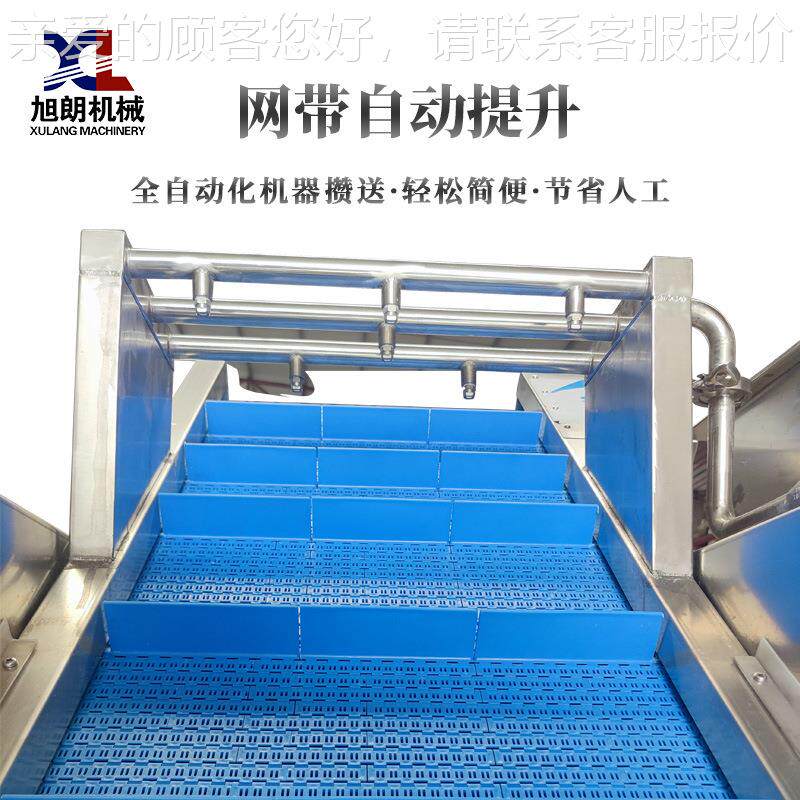 气泡洗枣机全自动小型葡清萄红水果清风干洗菜机GWY果蔬洗机工厂