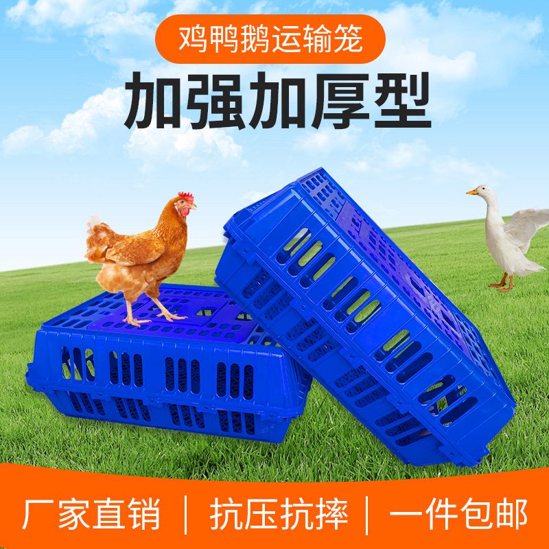 鸡笼周转箱鸡用运输筐成