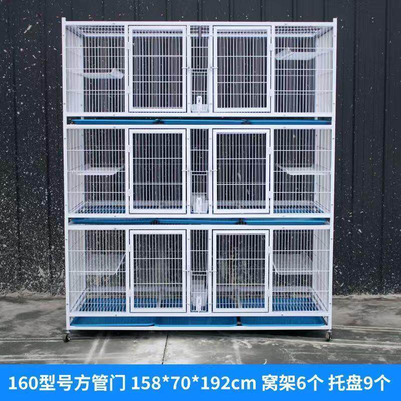 加密鸽子配对笼三层展示
