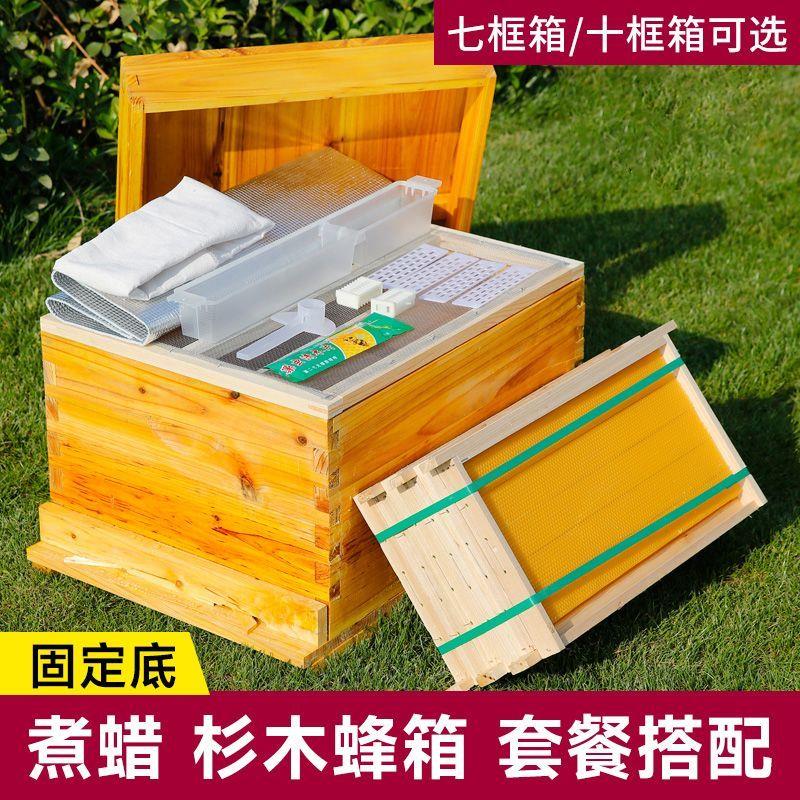 中蜂十框蜂箱带框巢础养