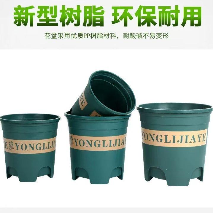花盆加仑盆塑料月季阳台