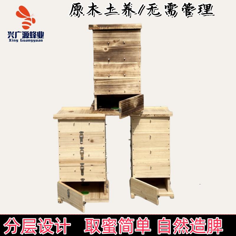 中蜂格子蜂箱全套蜜蜂杉
