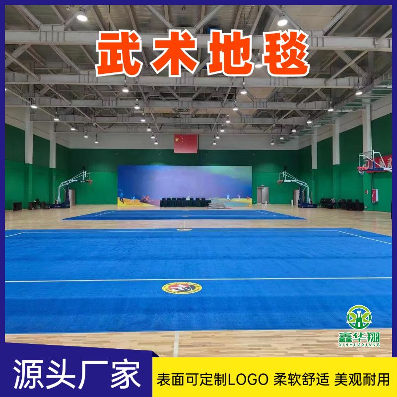 武术专用地毯啦啦操地垫