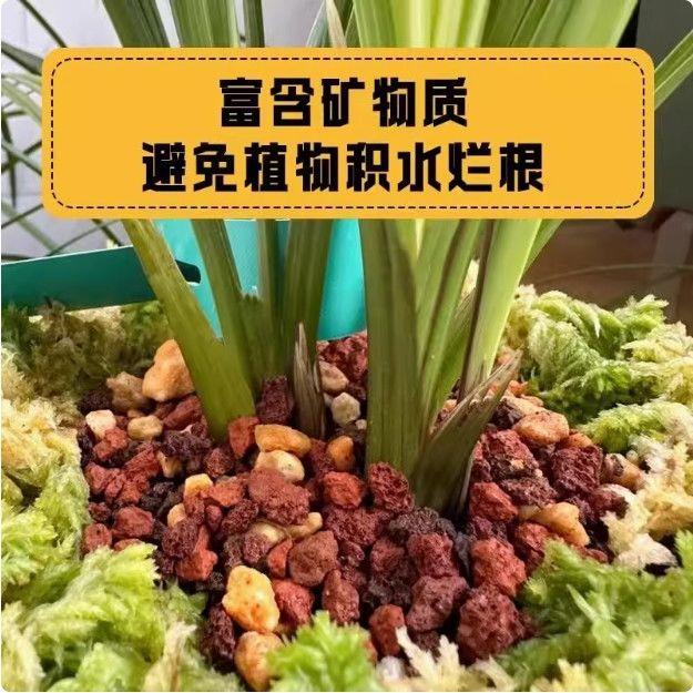 火山石鱼缸造景滤材乌龟