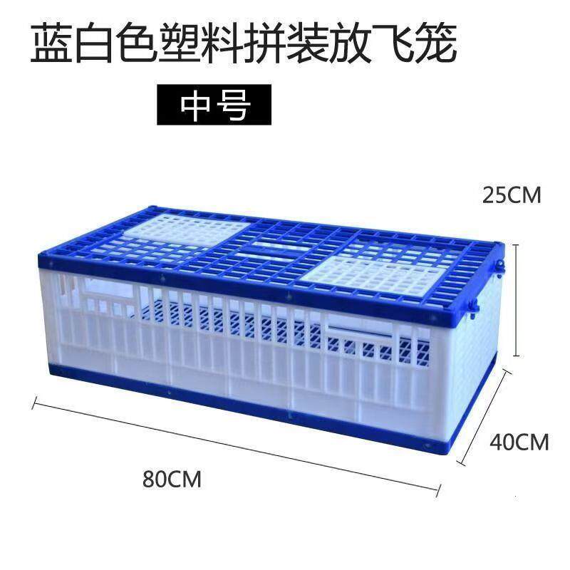 训放鸽笼信鸽家用不可折