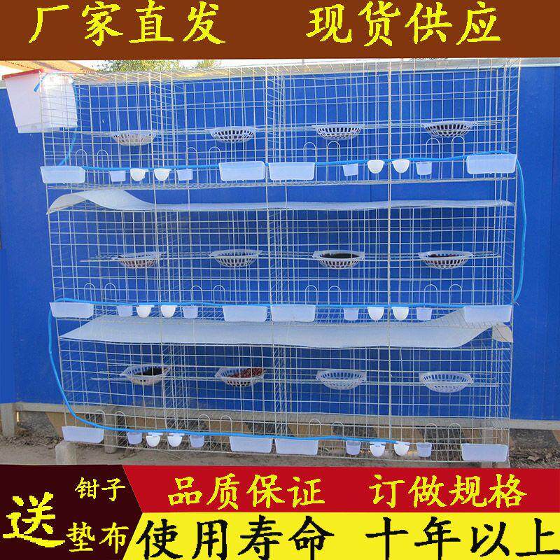 大型加粗鸽子笼养殖笼配