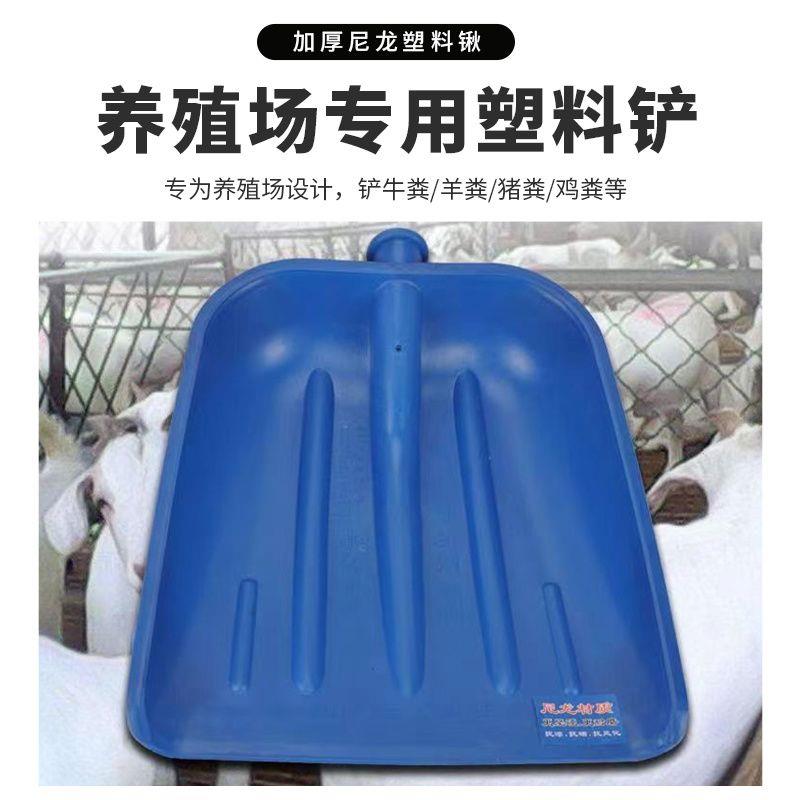 尼龙钢化加厚铲子农用稻谷花生玉米工业多用途垃圾铲雪摔不烂农具