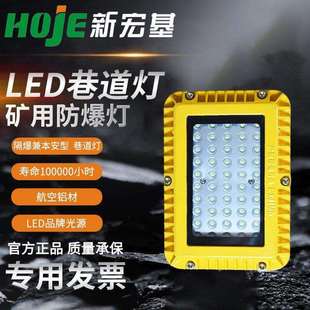 隔爆型LED巷道灯稳定安全煤矿井下照明灯DGS24 127方形款