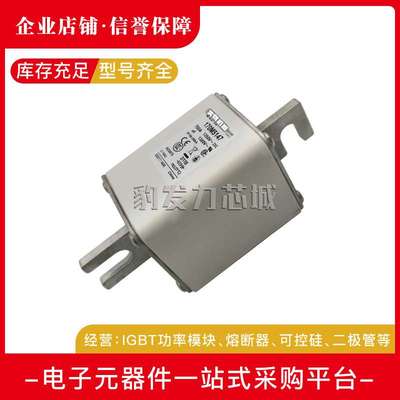 170M5408 170M5409 170M5410 170M5411 170M5412 170M5413熔断器