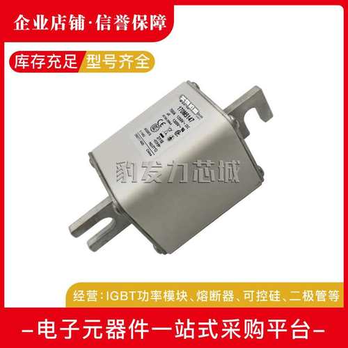 170M5408 170M5409 170M5410 170M5411 170M5412 170M5413熔断器