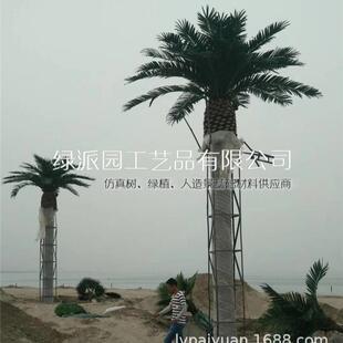 海洋馆环境美化装饰大型仿真海枣树人造海藻树仿真加纳利海藻树