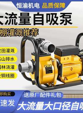 农用灌溉电动抽水机大流量自吸泵DSU220v大功率380v高扬程3寸水泵