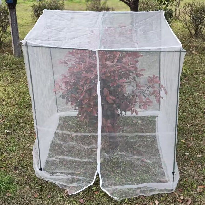 果树防鸟罩支架 嘉宝果树网罩 杨梅果树防虫网罩莲雾果树防鸟网罩图片
