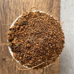 蓝杉专用土杉树盆栽盆景营养土弱酸性沙质红土壤家用绿植种植肥料