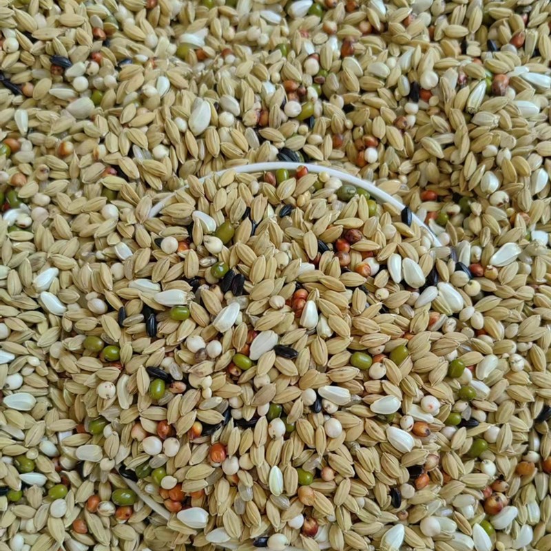 枭龙鸽子粮无小麦职业清除鸟食稻谷绿豆红花籽45斤江浙沪皖包邮