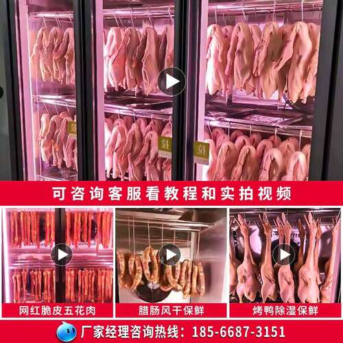 冰斯曼智能晾鸭柜商用烤鸭风干柜晾胚柜烧鸭风干机乳鸽烧鹅烘干柜