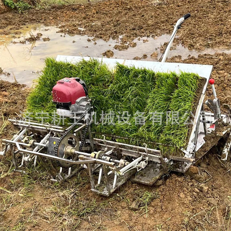 手拉式小型水稻插秧机四行六行水田泥地秧苗种植小型农用插秧机
